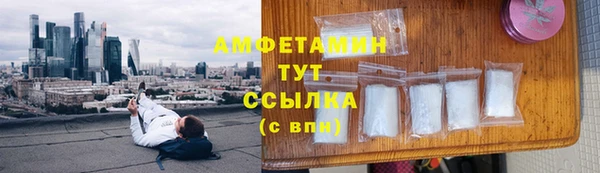 бошки Белокуриха