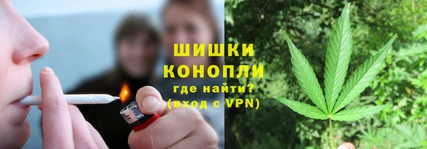 ПСИЛОЦИБИНОВЫЕ ГРИБЫ Белоозёрский