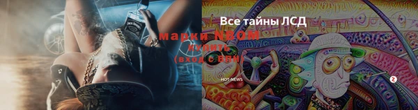 бошки Белокуриха