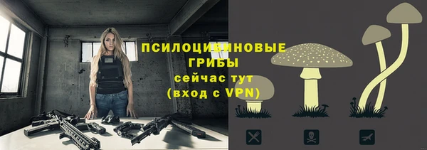 ПСИЛОЦИБИНОВЫЕ ГРИБЫ Белоозёрский