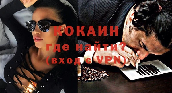 бошки Белокуриха