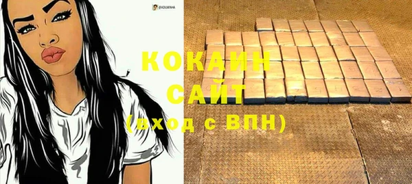 бошки Белокуриха