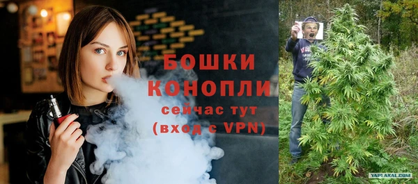 бошки Белокуриха