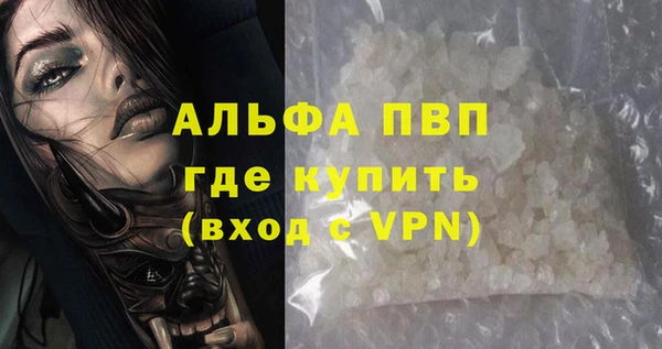 бошки Белокуриха