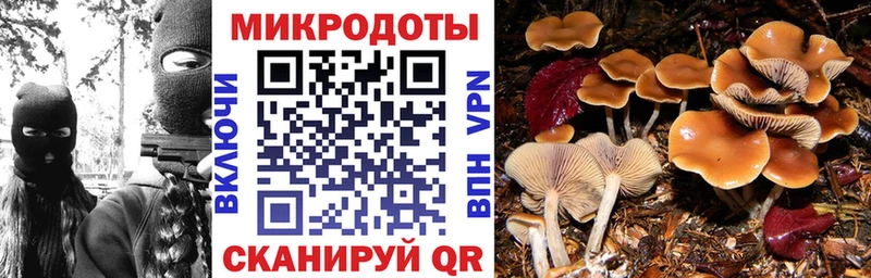 купить  сайты  hydra зеркало  Галлюциногенные грибы Magic Shrooms  Ветлуга 